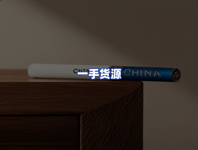 专业团队